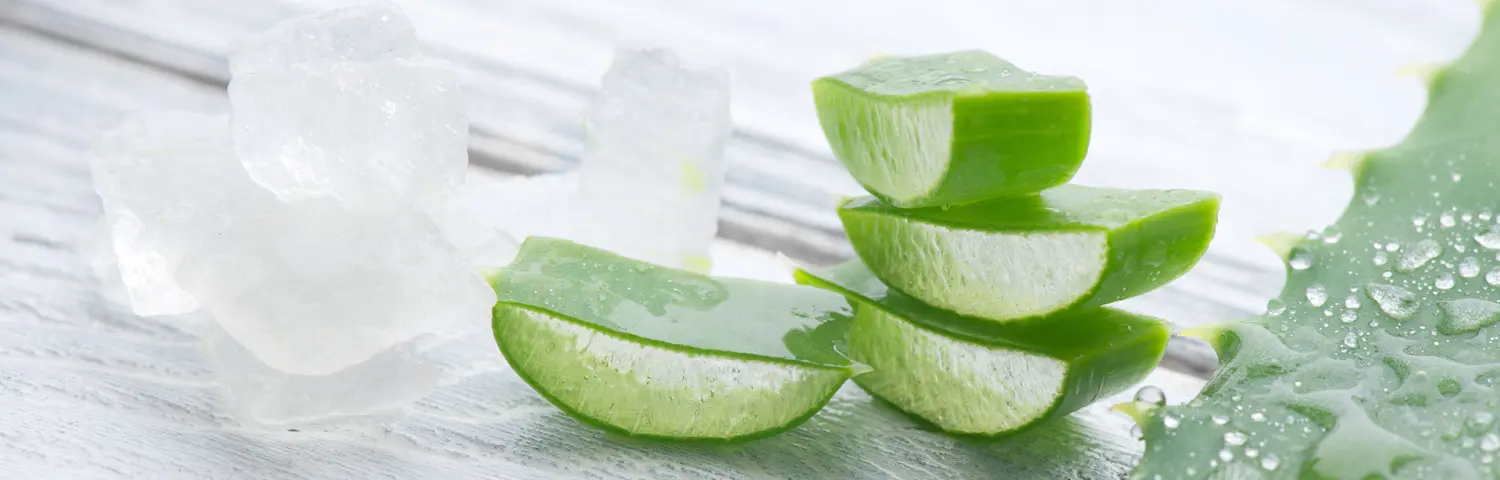 Aloe Vera Kur-Behandlung von Nataschas Beautypalast